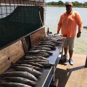 Meet your Posher, Edward